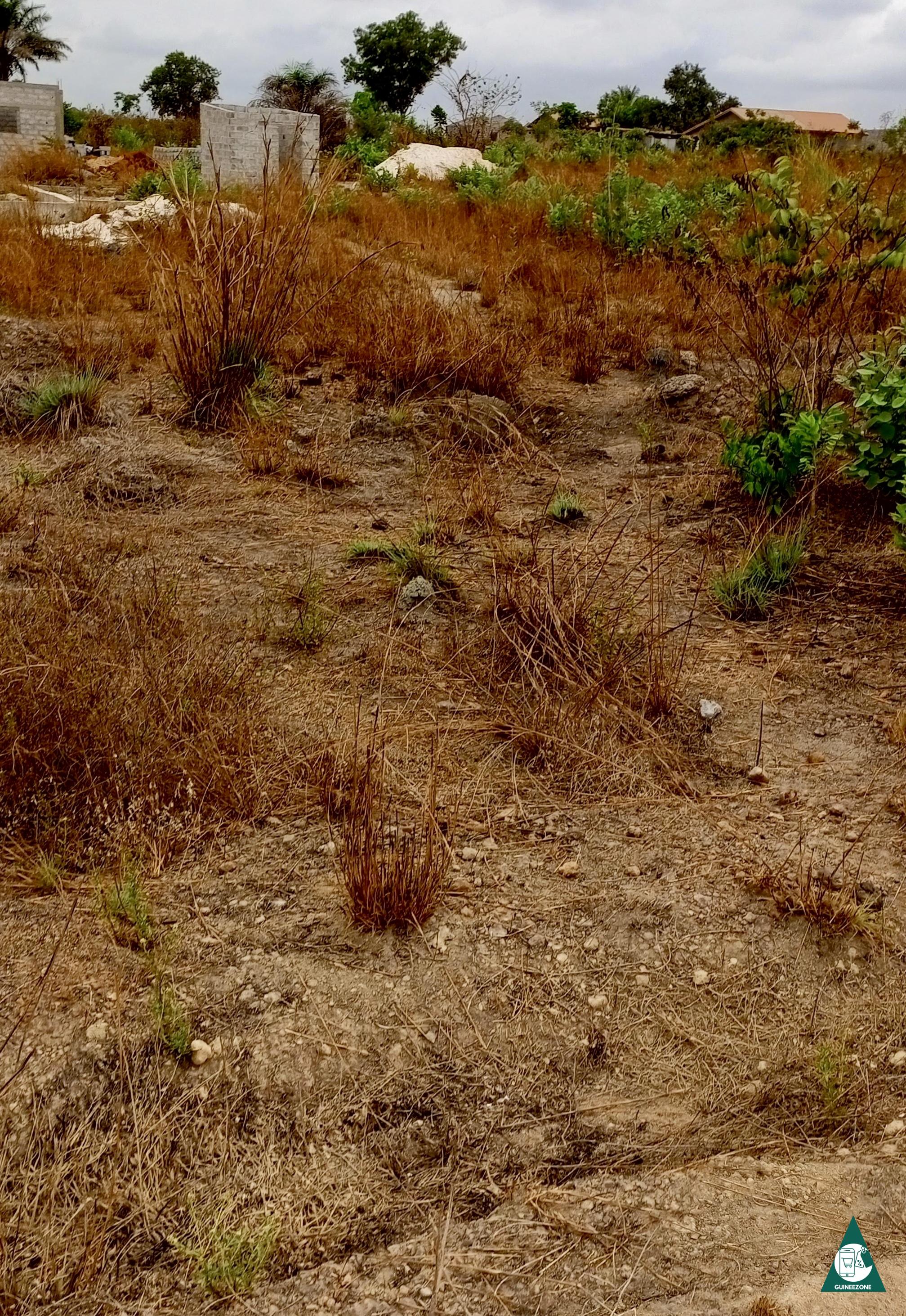 Vente des parcelles à Kakoulimaya plat