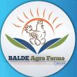 Balde Agro Ferme Groupe 